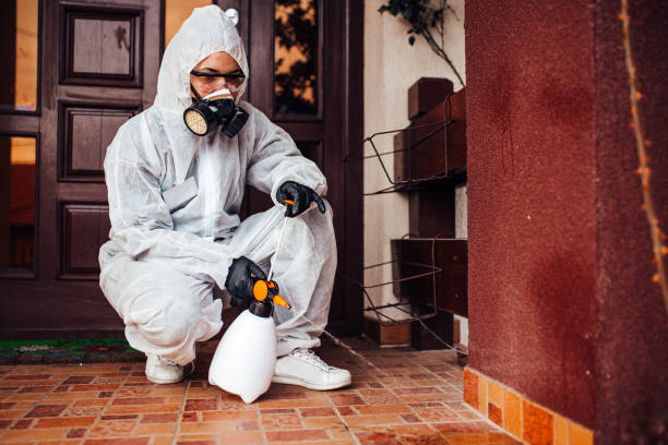 Reliable Termite Control contractor in Holloman AFB, NM by Nex Pest Control